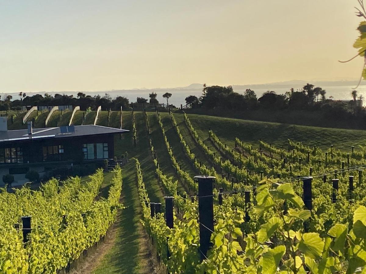 Hotel La Bodega Waiheke Island Surfdale Zewnętrze zdjęcie