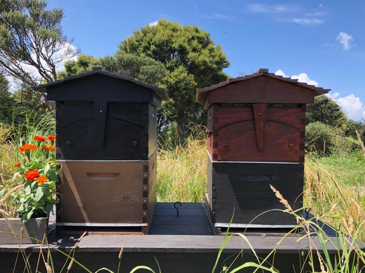 Hotel La Bodega Waiheke Island Surfdale Zewnętrze zdjęcie